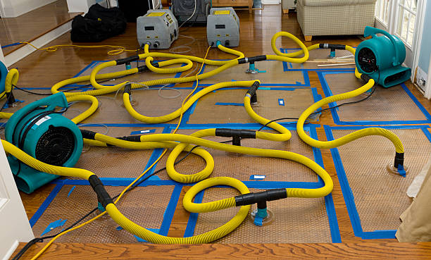 Professional Burst Pipe Water Damage technician working in Signal Hill, CA